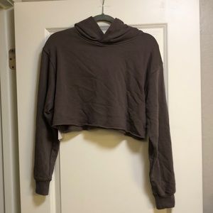 TNA aritzia cropped hoodie